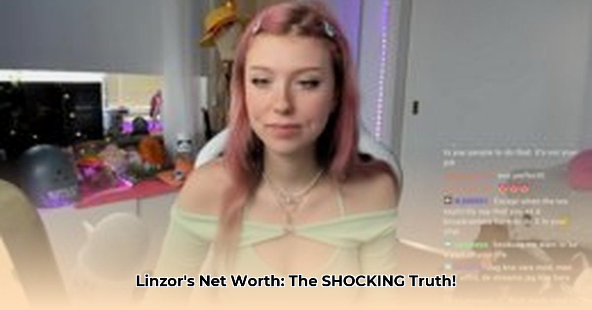 linzor-net-worth